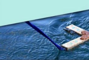 Το πρόγραμμα εορτασμού των Θεοφανείων στην πόλη της Νάουσας