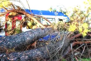 Δέντρο ακινητοποίησε τρένο κοντά στη Βέροια