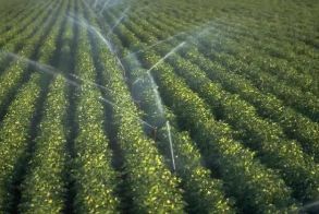 Δήμος Αλεξάνδρειας: Ξεκίνησαν οι αιτήσεις  για πρόσληψη υδρονομέων για την αρδευτική περίοδο του 2026