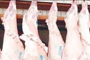 Εντολή για εντατικούς ελέγχους στα αμνοερίφια, προς αποτροπή «ελληνοποιήσεων» εν όψει του Πάσχα