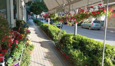 Η μικρή πράσινη όαση της Βενιζέλου παράδειγμα για όλη τη Βέροια