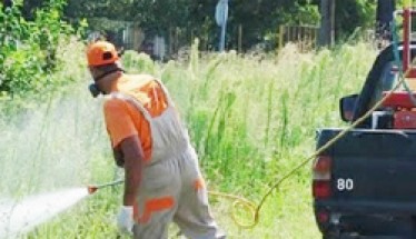 Πρόγραμμα καταπολέμησης κουνουπιών στο Δήμο  Βέροιας