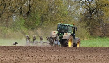 Ενισχύσεις de minimis ύψους 2,1 εκατ. ευρώ σε παραγωγούς μηδικής στον Έβρο και βιομηχανικής τομάτας στην Ημαθία