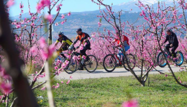 Φινάλε την Κυριακή, για το Φεστιβάλ του ΤΟΒ «Ανθισμένες Ροδακινιές»