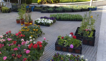 Ανθοκομική έκθεση την Τρίτη από τα παιδιά του Ε.Ε.Ε.Ε.Κ. Βέροιας