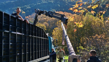 Φωτοβολταϊκές κολώνες στις εισόδους  των Ριζωμάτων