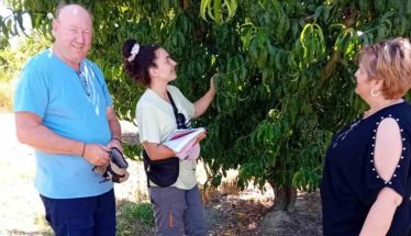 Επίσκεψη της Αντιδημάρχου Αγροτικής Ανάπτυξης Άννας Βασιλειάδου στην Ειρηνούπολη     Εκτιμήσεις ζημιών από παγετό σε συνεργασία με γεωπόνους του ΕΛΓΑ
