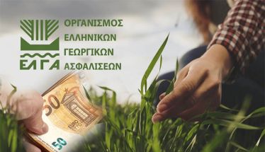ΕΛΓΑ: Δεν απαιτείται η καταβολή των τελών εκτίμησης από τους πληγέντες παραγωγούς