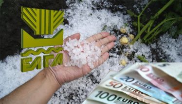 Νέες ζημιές στην παραγωγή της Ημαθίας από το χαλάζι της περασμένης εβδομάδας