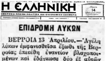 Από το 1932 έγραφαν οι εφημερίδες για κάθοδο λύκων «έξωθι της Βέροιας»