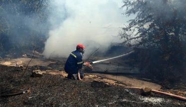 Φωτιά σε δασική έκταση στη Μικρά Σάντα Ημαθίας – Σηκώθηκαν εναέρια μέσα