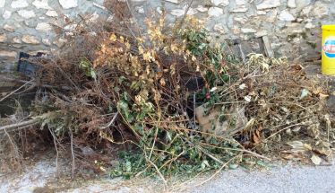 Επιστολή στο ΛΑΟ  Εν μέσω καύσωνα μετέφεραν ξερά κλαδιά στον κάδο του  Αγ.  Νικολάου  Κουμαριάς