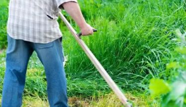 Δήμος Αλεξάνδρειας: Καθαρισμός οικοπεδικών και λοιπών ακάλυπτων χώρων προς αποφυγή εκδήλωσης πυρκαγιών