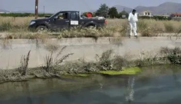 Δήμος Αλεξάνδρειας: Το πρόγραμμα κίνησης συνεργείων του Προγράμματος καταπολέμησης κουνουπιών για την εβδομάδα 11 έως 14 Αυγούστου 2025