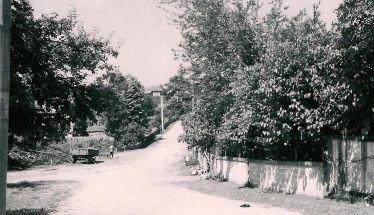 «ΕΝΑ ΤΑΞΙΔΙ ΣΤΗΝ ΠΡΟΓΟΝΙΚΗ ΓΗ ΤΟΥ ΑΤΑΠΑΖΑΡ» Μέρος 5ο