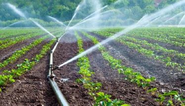 Κατά 40% περιορίζει η ΔΕΗ το νερό άρδευσης στον διψασμένο κάμπο, λόγω μειωμένων αποθεμάτων στους ταμιευτήρες του Αλιάκμονα
