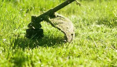 Τι αλλάζει στους καθαρισμούς των οικοπέδων με το νομοσχέδιο «Ενεργή Μάχη» -Ο καθαρισμός και η δήλωσή τους παρατείνεται έως τις 15 Ιουνίου