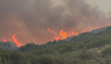 Πάνω από 454.000 στρέμματα κάηκαν στην χώρα μας, από την αρχή της χρονιάς