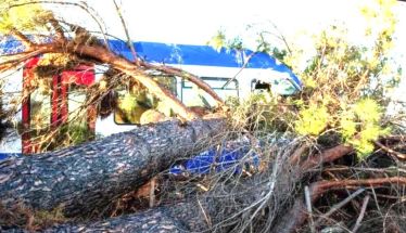 Δέντρο ακινητοποίησε τρένο κοντά στη Βέροια