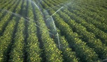 Δήμος Αλεξάνδρειας: Ξεκίνησαν οι αιτήσεις  για πρόσληψη υδρονομέων για την αρδευτική περίοδο του 2026