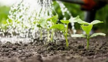 Ενημερωτική συνάντηση για τη λειτουργία και τη διαχείριση του αρδευτικού συστήματος για το έτος 2026 διοργανώνεται την Δευτέρα 30 Μαρτίου στο Δημαρχείο Μελίκης