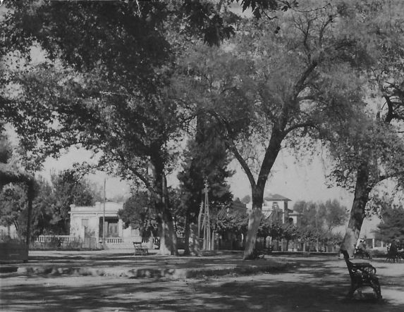 ΜεΜιαΜατια Βέροια, 1950