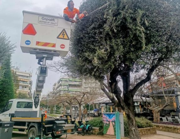 Συνεργείο του δήμου έκανε τις ελιές «κούκλες» στο πάρκο Εληάς!