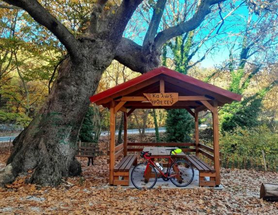 Σάββατο 8 Νοεμβρίου:  Στη Βέροια το 2ο brevet  της χρονιάς, 200 χλμ,  με εκκίνηση και τερματισμό  στην πλατεία Ωρολογίου