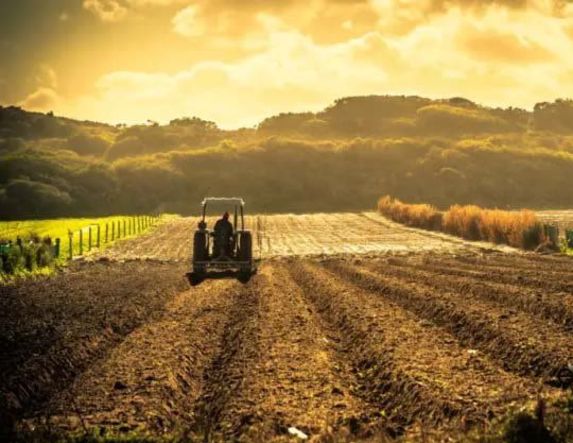 Εγκαταλείφθηκε το 48,5% της αγροτικής γης στη Νάουσα: Κραυγή αγωνίας από τους παραγωγούς