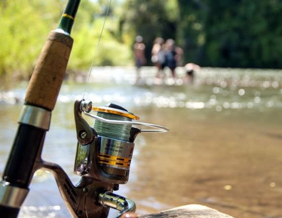 ΠΕ ΗΜΑΘΙΑΣ:  ΑΠΑΓΟΡΕΥΣΗ ΑΛΙΕΙΑΣ  ΣΤΑ ΕΣΩΤΕΡΙΚΑ ΥΔΑΤΑ ΤΗΣ  Π.Ε. ΗΜΑΘΙΑΣ ΓΙΑ ΤΟ ΕΤΟΣ 2026 