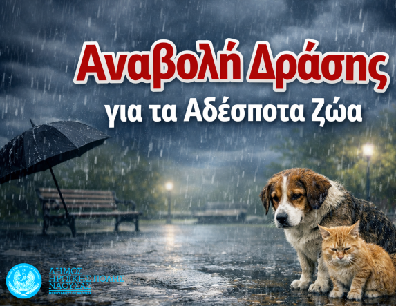 Αναβολή δράσης ευαισθητοποίησης για τα αδέσποτα ζώα λόγω δυσμενών καιρικών συνθηκών
