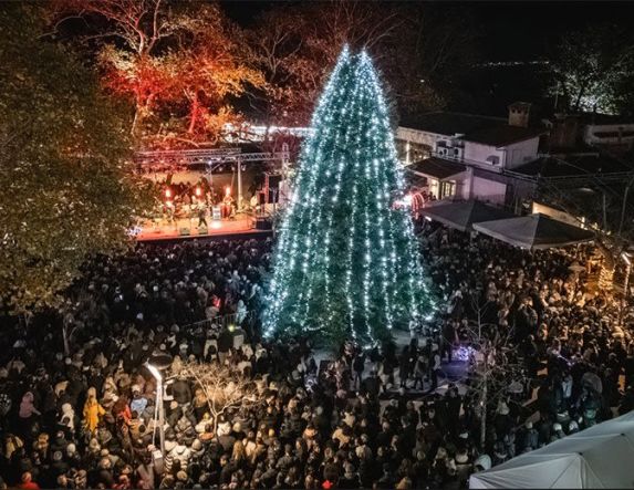 Άναψε στην πλατεία Εληάς το Χριστουγεννιάτικο Δέντρο της Βέροιας, με Φιλαρμονική και Χάρη Βαρθακούρη