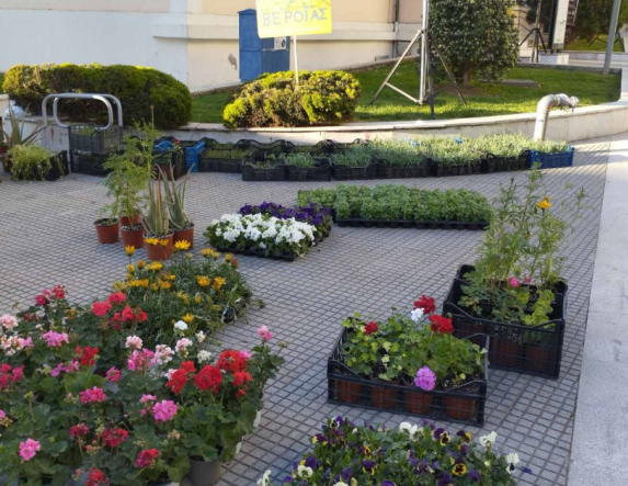 Ανθοκομική έκθεση την Τρίτη από τα παιδιά του Ε.Ε.Ε.Ε.Κ. Βέροιας