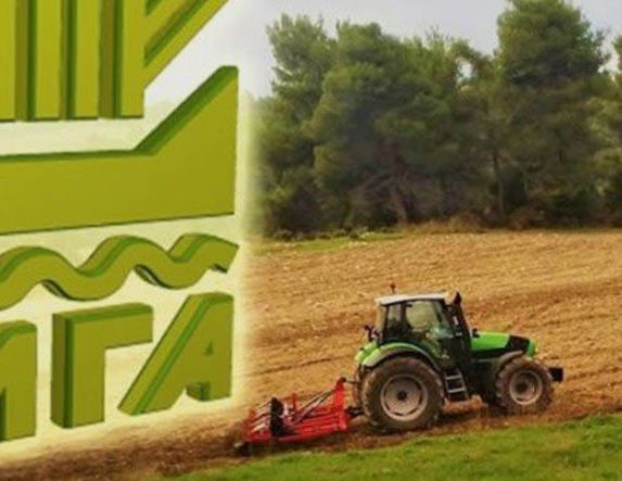 ΠΟΡΙΣΜΑΤΑ ΕΚΤΙΜΗΣΕΩΝ 2024 ΣΕ ΜΑΡΙΝΑ - ΠΟΛΛΑ ΝΕΡΑ