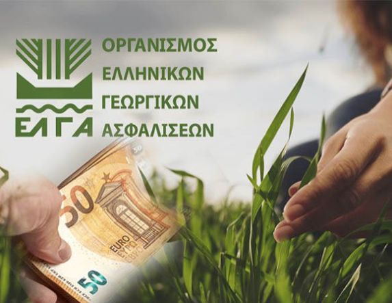 ΕΛΓΑ: Δεν απαιτείται η καταβολή των τελών εκτίμησης από τους πληγέντες παραγωγούς