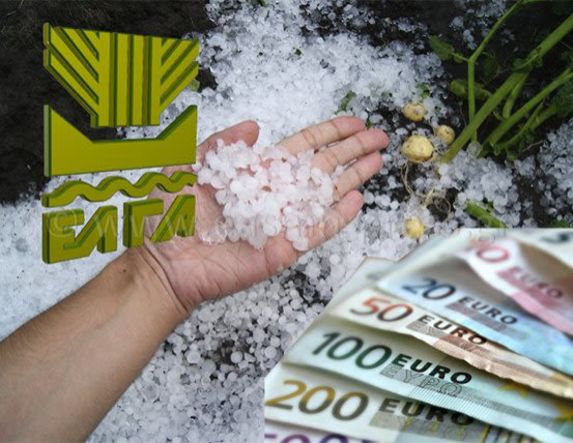 Πορίσματα ζημιών από χαλάζι σε καλλιέργειες του Πλατέος