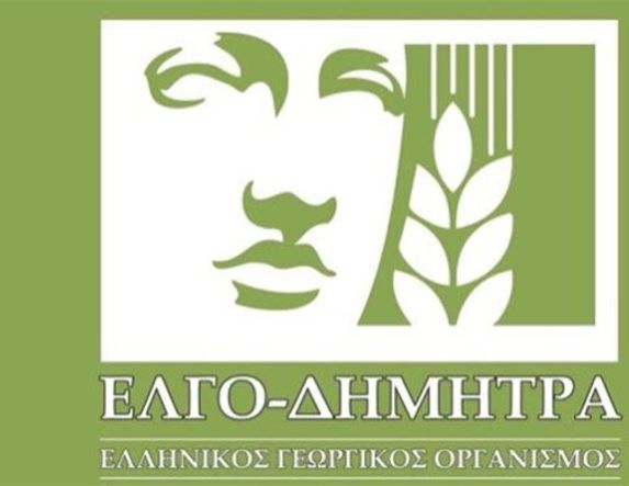 ΕΛΓΟ-ΔΗΜΗΤΡΑ: Συνεχίζονται τα Προγράμματα Κατάρτισης