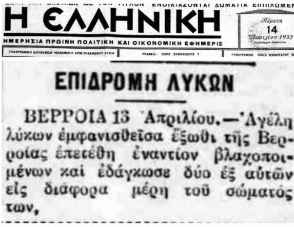 Από το 1932 έγραφαν οι εφημερίδες για κάθοδο λύκων «έξωθι της Βέροιας»