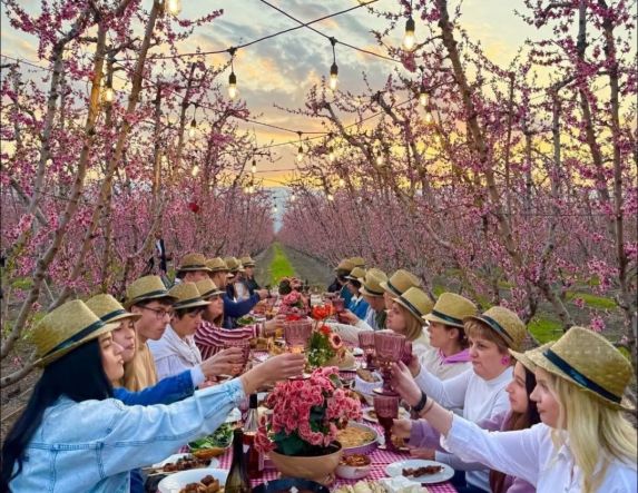 Στη γαστρονομική δράση της Π.Ε. Ημαθίας, στις  ανθισμένες ροδακινιές, συμμετείχε ο Δήμος Νάουσας