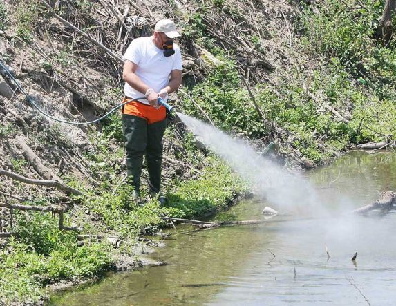 Επεμβάσεις για καταπολέμηση κουνουπιών στο Δήμο Βεροίας (20-24/5/2024)