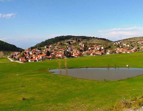 ΠΟΛΙΤΙΣΤΙΚΟΣ ΟΜΙΛΟΣ ΞΗΡΟΛΙΒΑΔΟΥ: ΕΥΧΕΣ ΓΙΑ ΤΟ ΝΕΟ ΕΤΟΣ 2026 - ΕΟΡΤΗ ΤΩΝ ΘΕΟΦΑΝΕΙΩΝ