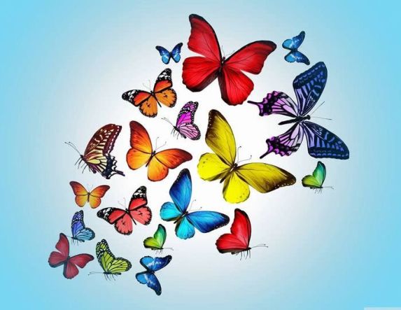 Ανακοίνωση Συμπαράστασης προς το Σωματείο Εργαζομένων ΕΚΑΒ Ημαθίας και τους Διασώστες όλης της χώρας