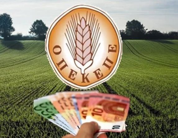 Αποζημιώσεις de minimis, 18,2 εκατ. ευρώ από τον ΟΠΕΚΕΠΕ σε αγρότες Ημαθίας, Πέλλας, Λάρισας, Κοζάνης, Φλώρινας, Καβάλας, Έβρου, και Αττικής  -5,46 εκατ. ευρώ για ροδάκινα και νεκταρίνια - Αφορούν σε ζημιές του 2024