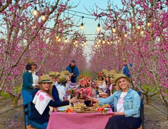 Ευχαριστήριο της ΠΕ Ημαθίας προς όλους όσοι συμμετείχαν  στην υλοποίηση της δράσης δημιουργίας προωθητικού οπτικοακουστικού υλικού για την τουριστική προβολή της περιοχής μας