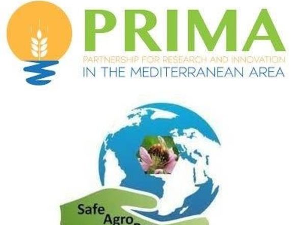 Συμμετοχή του Τ.Φ.Ο.Δ.Ν. στο Ευρωπαϊκό πρόγραμμα PRIMA / SafeAgroBee