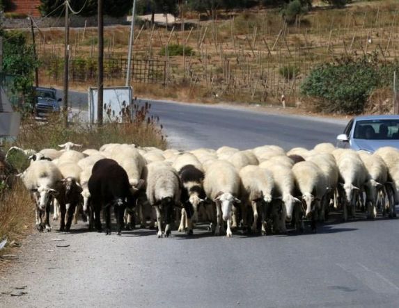 Tι είχαν τα έρμα…