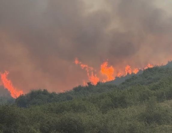 Πάνω από 454.000 στρέμματα κάηκαν στην χώρα μας, από την αρχή της χρονιάς
