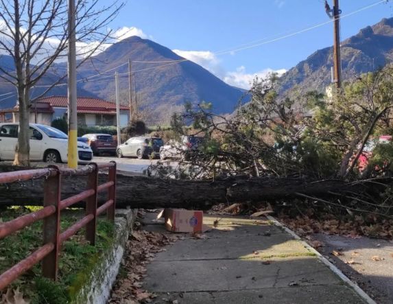 Θυελλώδεις άνεμοι «γκρέμισαν» δέντρα στη Νάουσα