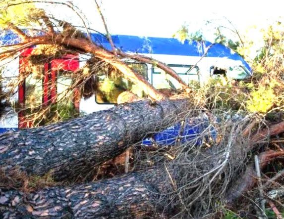 Δέντρο ακινητοποίησε τρένο κοντά στη Βέροια