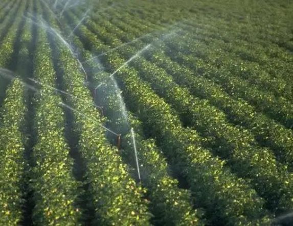 Δήμος Αλεξάνδρειας: Ξεκίνησαν οι αιτήσεις  για πρόσληψη υδρονομέων για την αρδευτική περίοδο του 2026